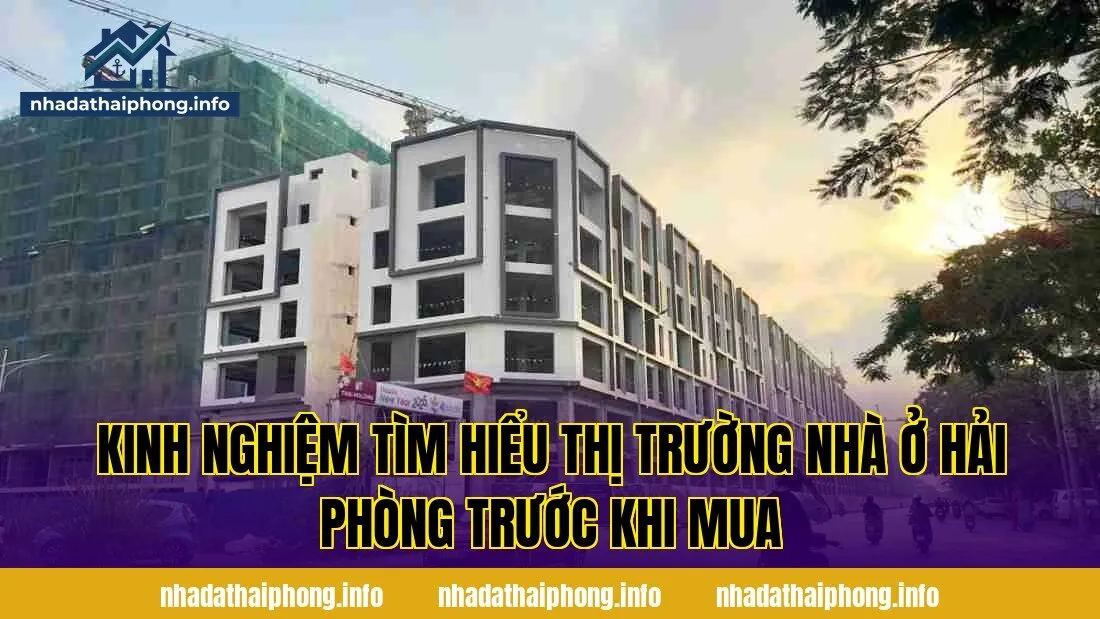 Kinh nghiệm tìm hiểu thị trường nhà ở Hải Phòng trước khi mua