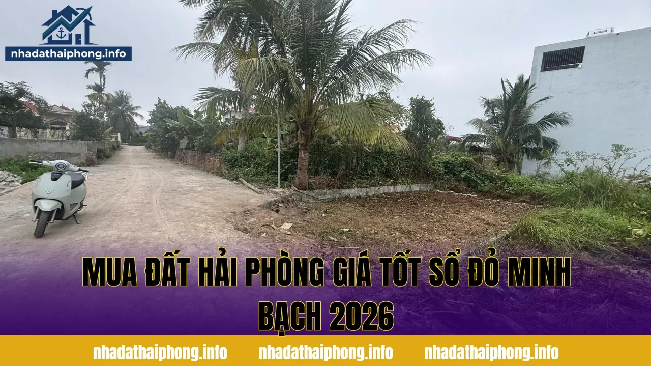 Mua Đất Hải Phòng Giá Tốt Sổ Đỏ Minh Bạch 2026