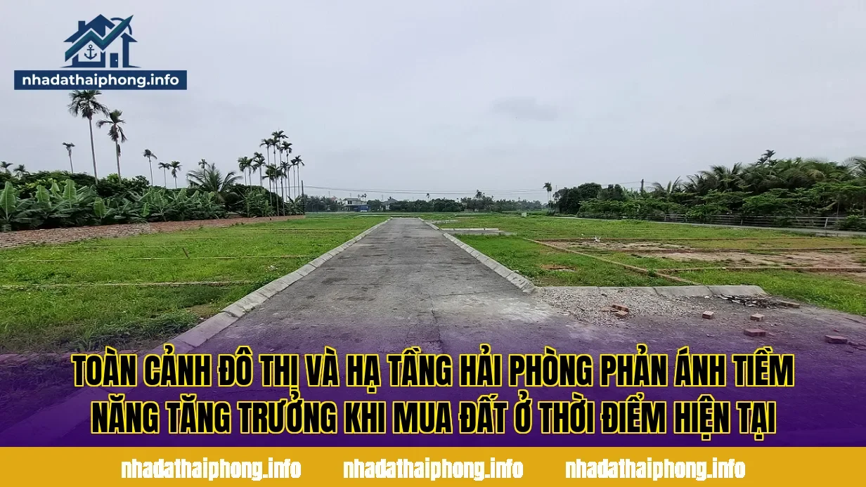 Toàn cảnh đô thị và hạ tầng Hải Phòng phản ánh tiềm năng tăng trưởng khi mua đất ở thời điểm hiện tại
