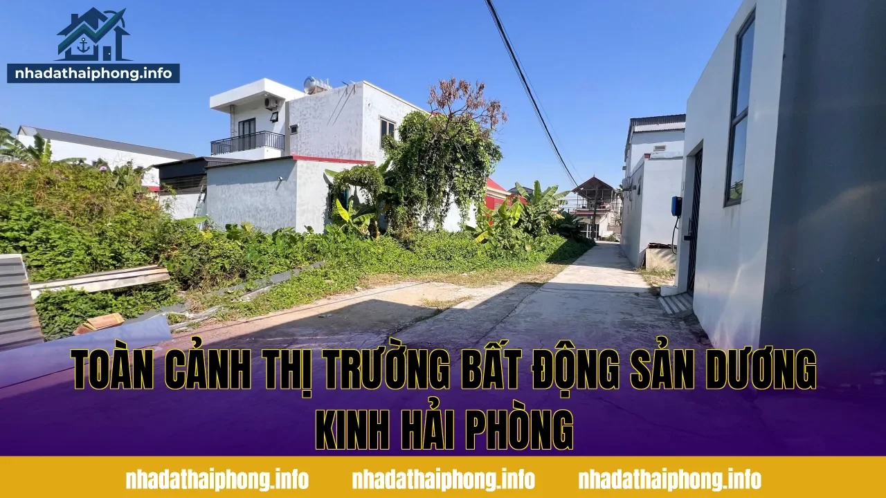 Toàn cảnh thị trường bất động sản Dương Kinh Hải Phòng
