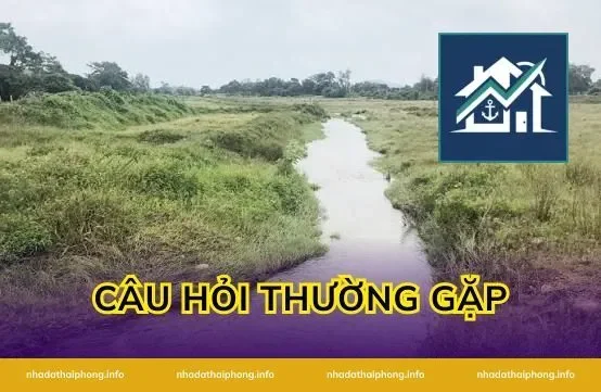 Câu Hỏi Thường Gặp