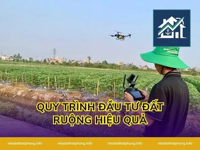 Quy Trình Đầu Tư Đất Ruộng Hiệu Quả