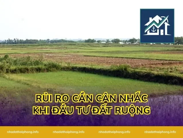 Rủi Ro Cần Cân Nhắc Khi Đầu Tư Đất Ruộng